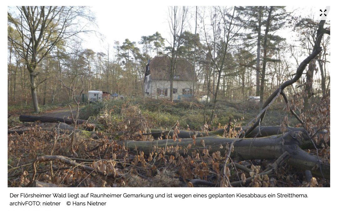 Höchster Kreisblatt: „Flörsheimer Wald ist von Rodung bedroht“